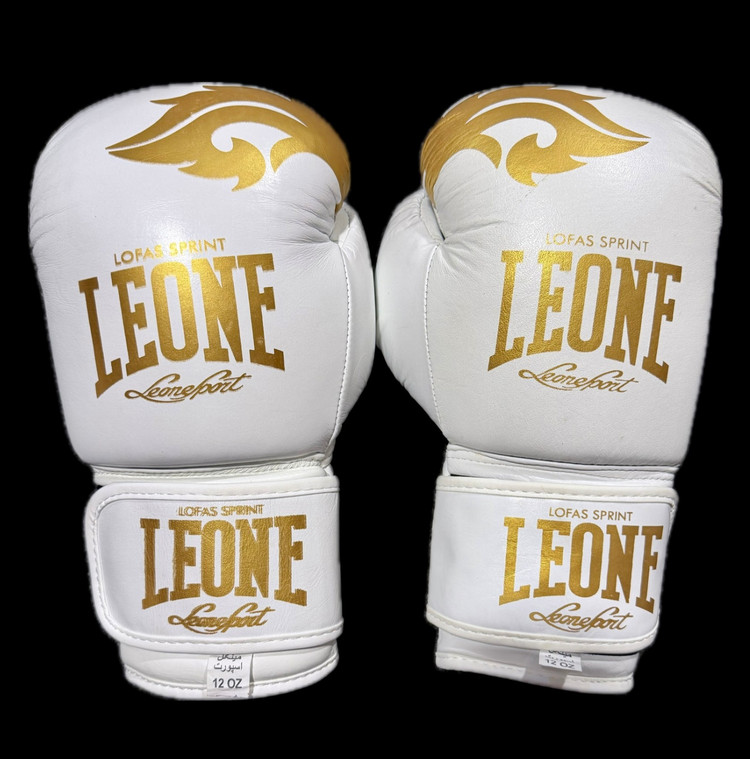 دستکش بوکس Leone
