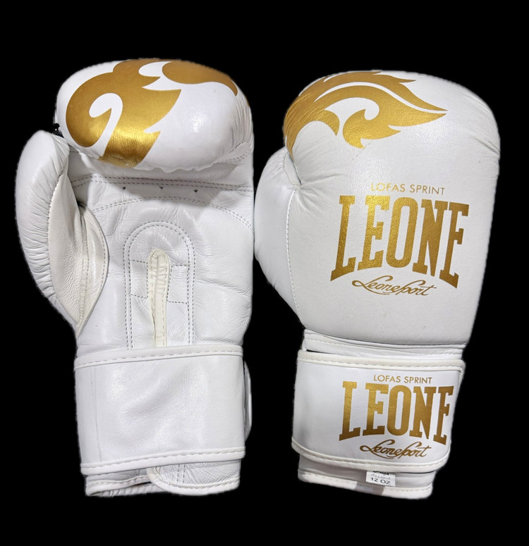 دستکش بوکس Leone
